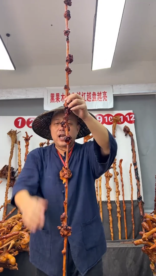 黑果木其他黑果木5501
