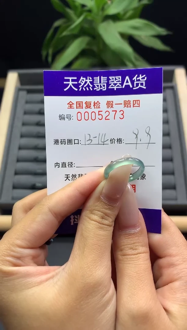 未镶嵌戒指翡翠天然  5273