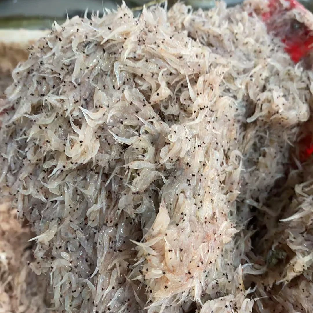 新鲜小米虾小蜢虾