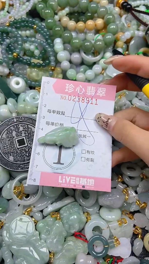 翡翠未镶嵌颈饰闪购0238911