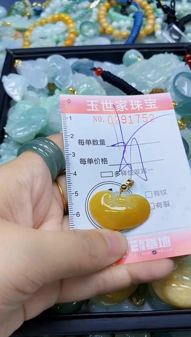 翡翠未镶嵌颈饰闪购0291752