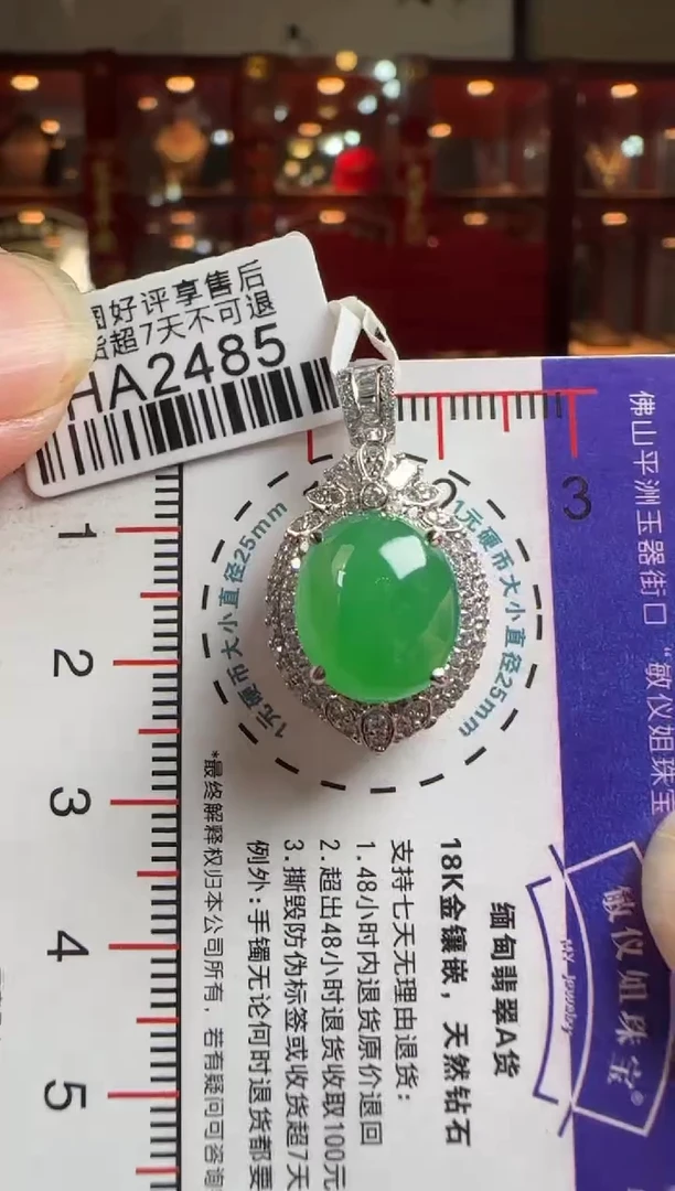 翡翠18K金镶嵌颈饰HA2485冰绿蛋面