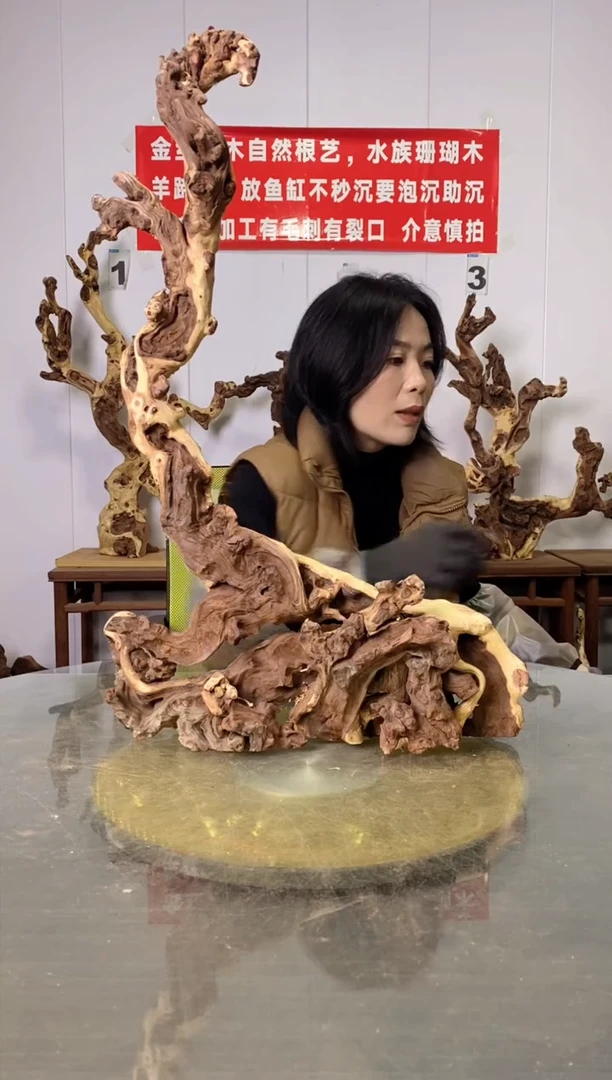 【闪购商品】木金丝红木 羊蹄甲
