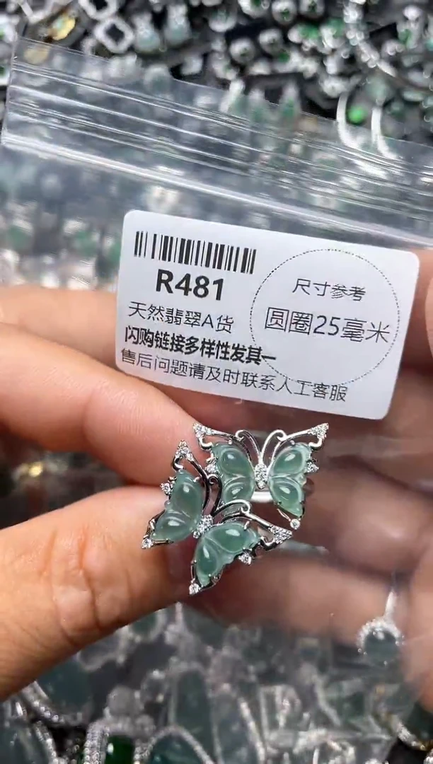 翡翠未镶嵌颈饰R481戒指 多样性发其一
