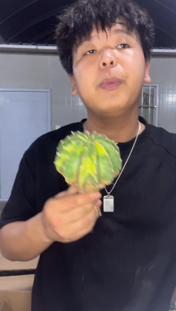 实生根 世界图锦