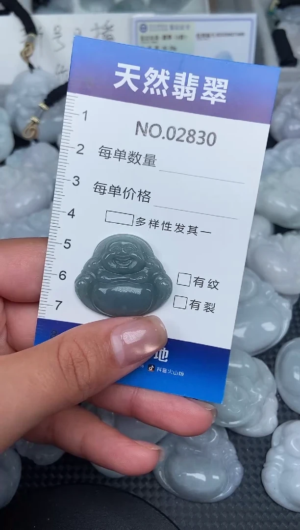 颈饰未镶嵌翡翠纯天然A货翡翠2830