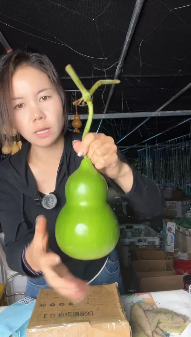 431天然葫芦摆件 一物一拍龙头不保售后