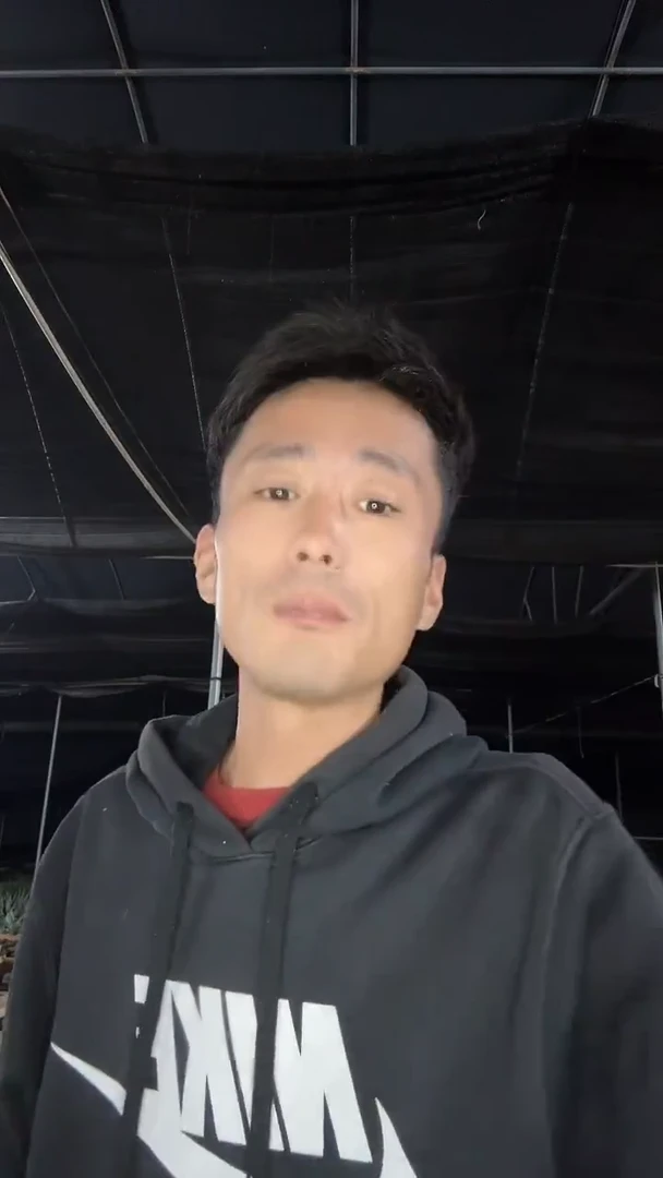 不***芋实生雪糕15.99