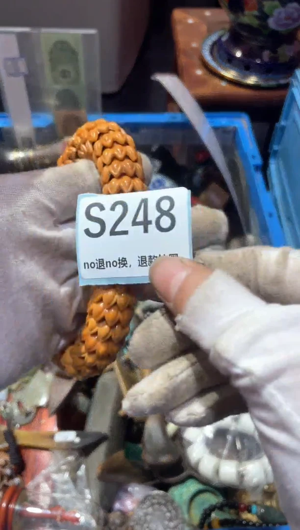 瓷片学*冬宣链接火爆热卖
