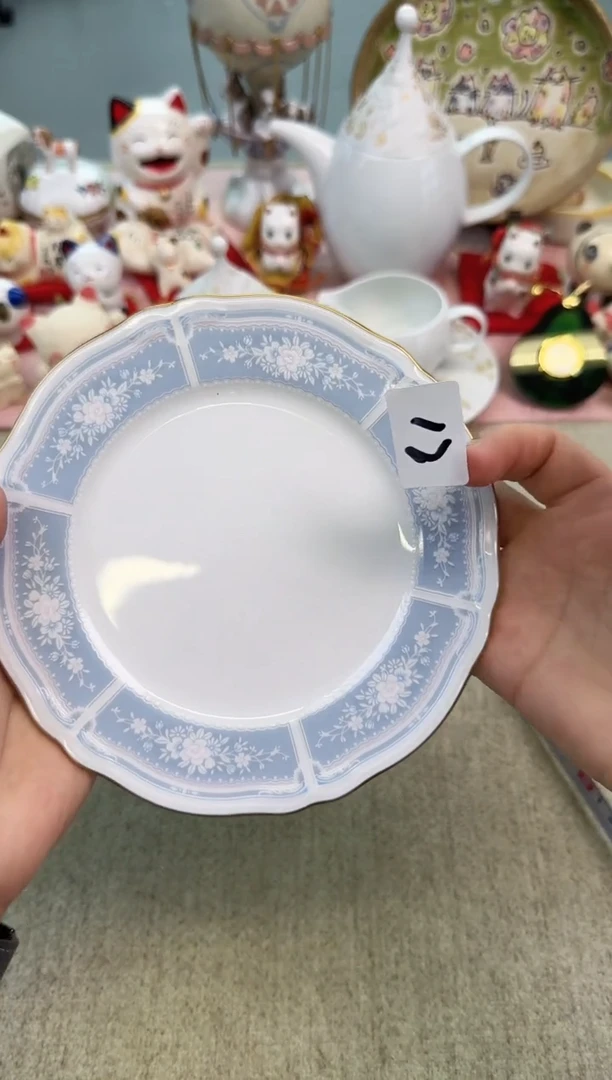 瓷片16.5辰辰的瓷器好看到爆