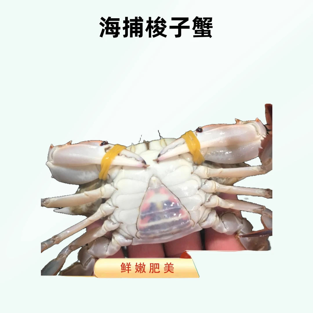特惠海捕梭子蟹 ...公蟹 （ 7--10只/斤）保鲜不保活 个小介意勿拍