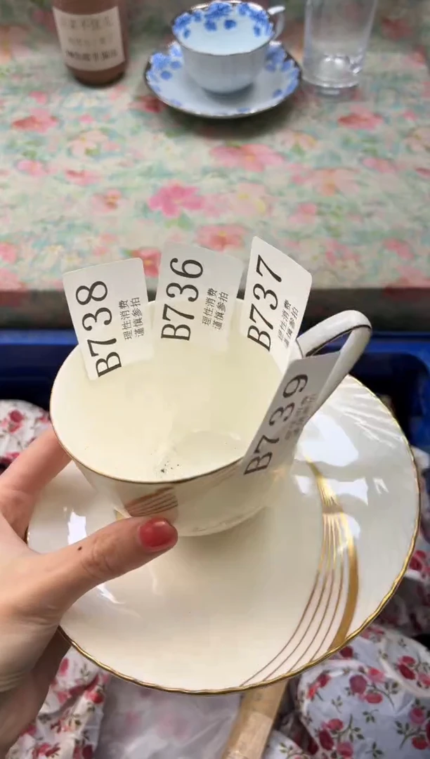 瓷片兰*       B739