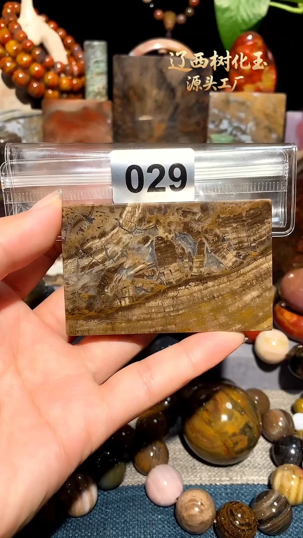 未镶嵌-硅化玉天然北票硅化玉吊坠
