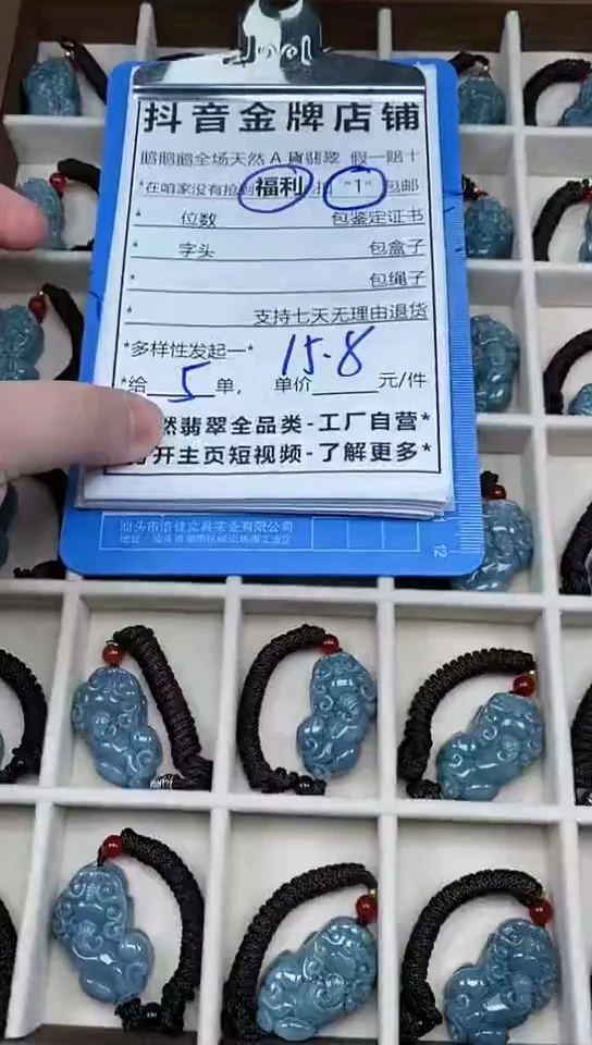 【闪购商品】翡翠颈饰未镶嵌多样性发其一