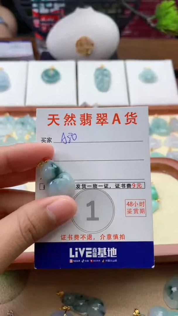 翡翠未镶嵌颈饰天然A货翡翠挂件