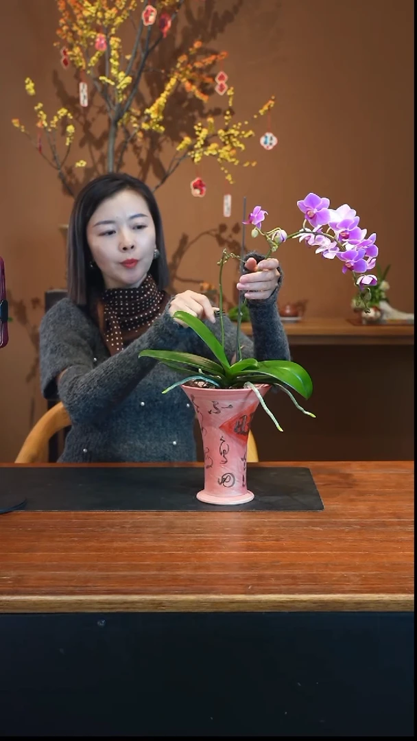 全部花朵粉珠帘盆景盆景盆景