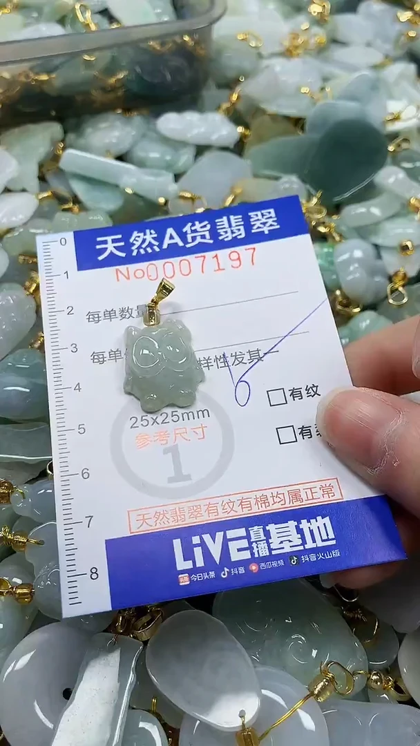 颈饰未镶嵌翡翠纯天然a货翡翠