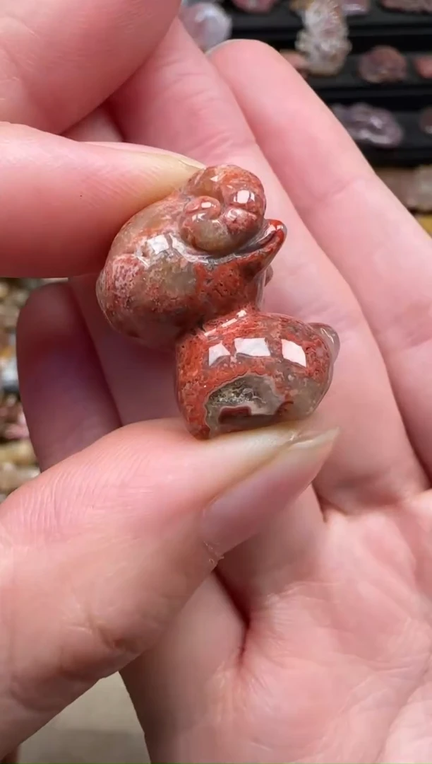 颈饰未镶嵌硅化珊瑚（珊瑚玉）166