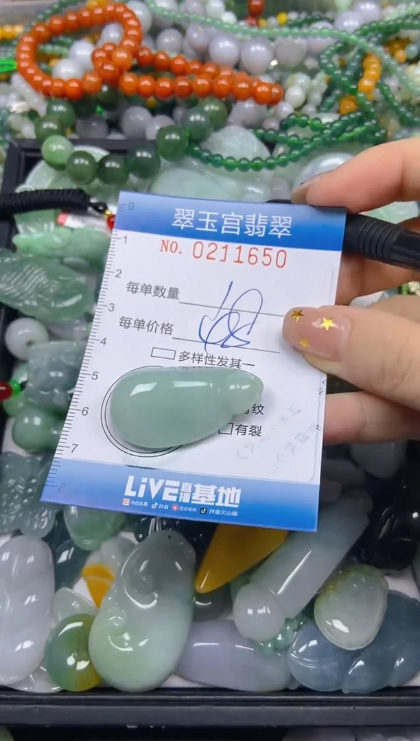 颈饰未镶嵌翡翠闪购C0211650
