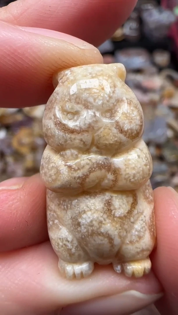 颈饰未镶嵌硅化珊瑚（珊瑚玉）312