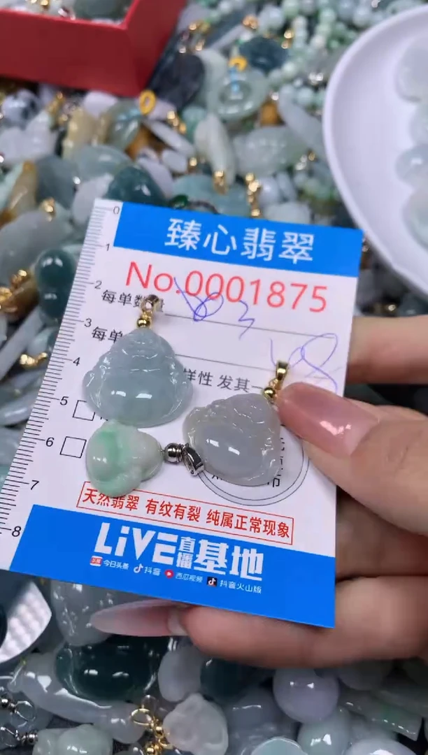 【闪购商品】翡翠颈饰未镶嵌含绳0001875