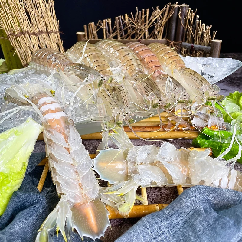 达2广西北海野生皮皮虾虾菇虾爬子富贵虾濑尿虾顺丰冷链空运发货