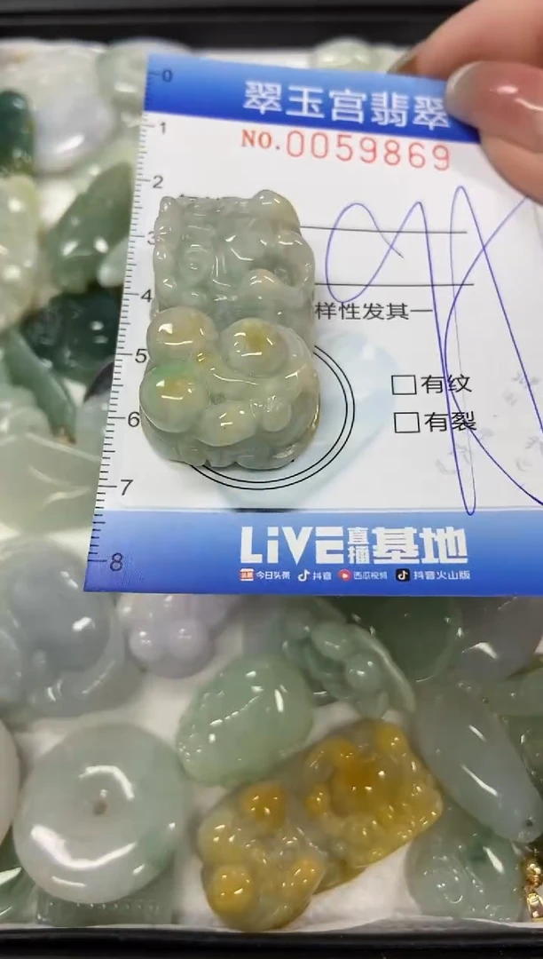 【闪购商品】翡翠颈饰未镶嵌闪购0059869