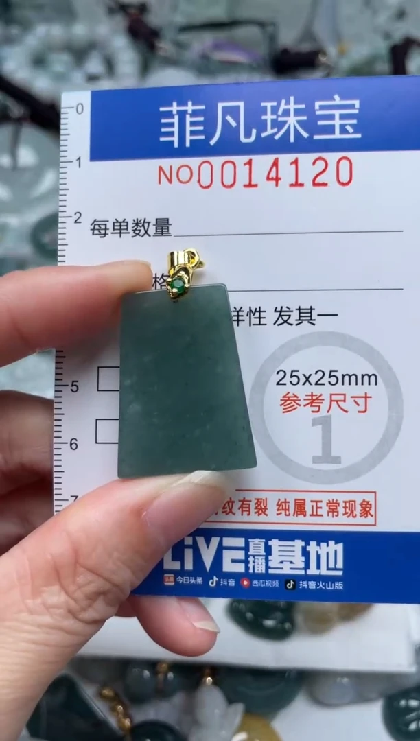 颈饰未镶嵌翡翠14120