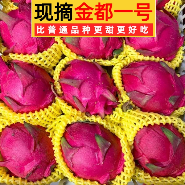【直播专属】广西金都一号红心红肉火龙果热带新鲜水果甜蜜宝多汁