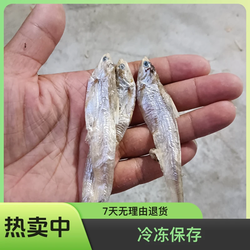 安徽特产淡水无盐毛刀鱼毛叶鱼，中大号干干货500
