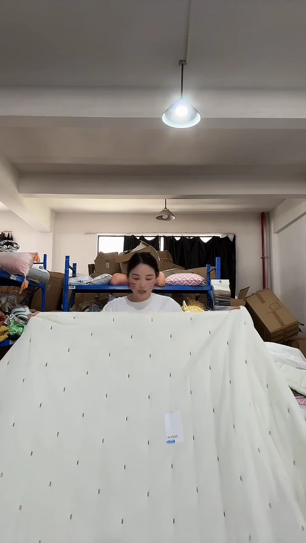 棉棉D04 ZA家220*230 白色被子