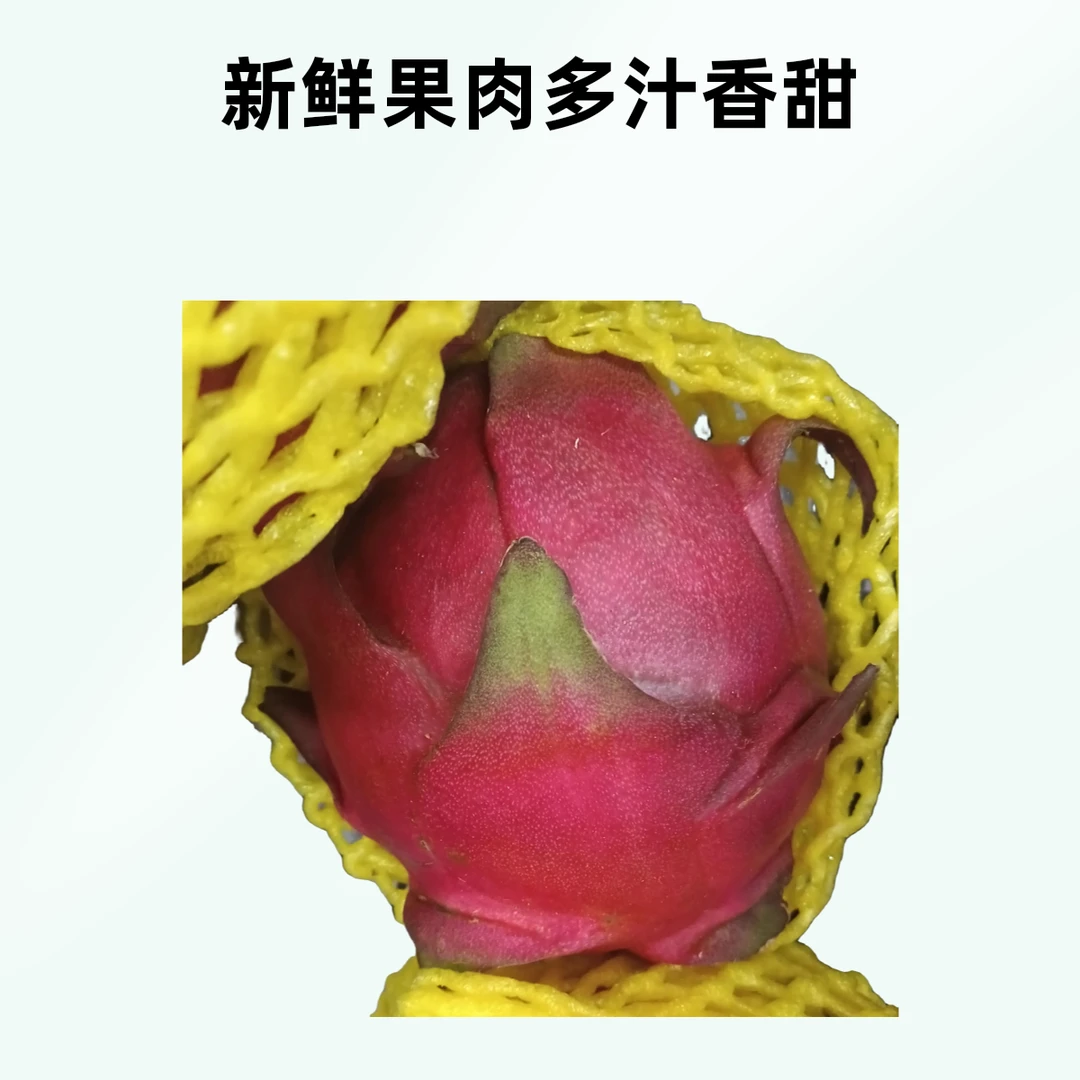 红心火龙果【40果】四个十元海南省