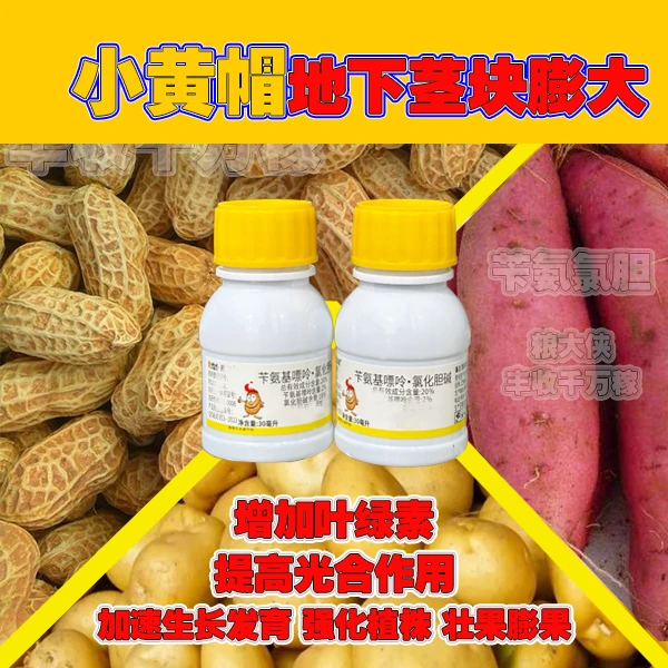【大黄帽】地下茎块膨大,花生,大蒜,生姜,土豆,红薯等增产促长液