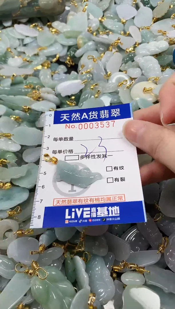 颈饰未镶嵌翡翠纯天然a货翡翠