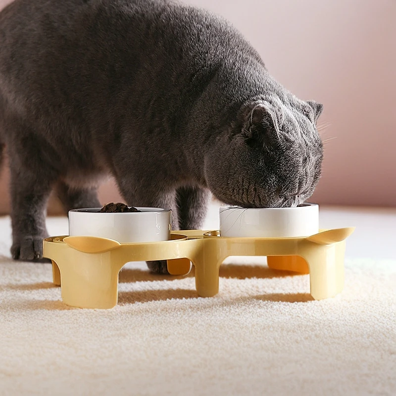 猫碗陶瓷双碗高脚斜口保护颈椎猫粮碗喝水碗防打翻猫砂斜口碗
