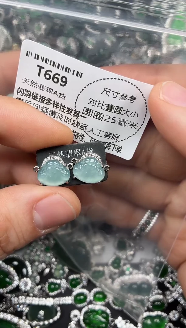 颈饰未镶嵌翡翠T669耳钉