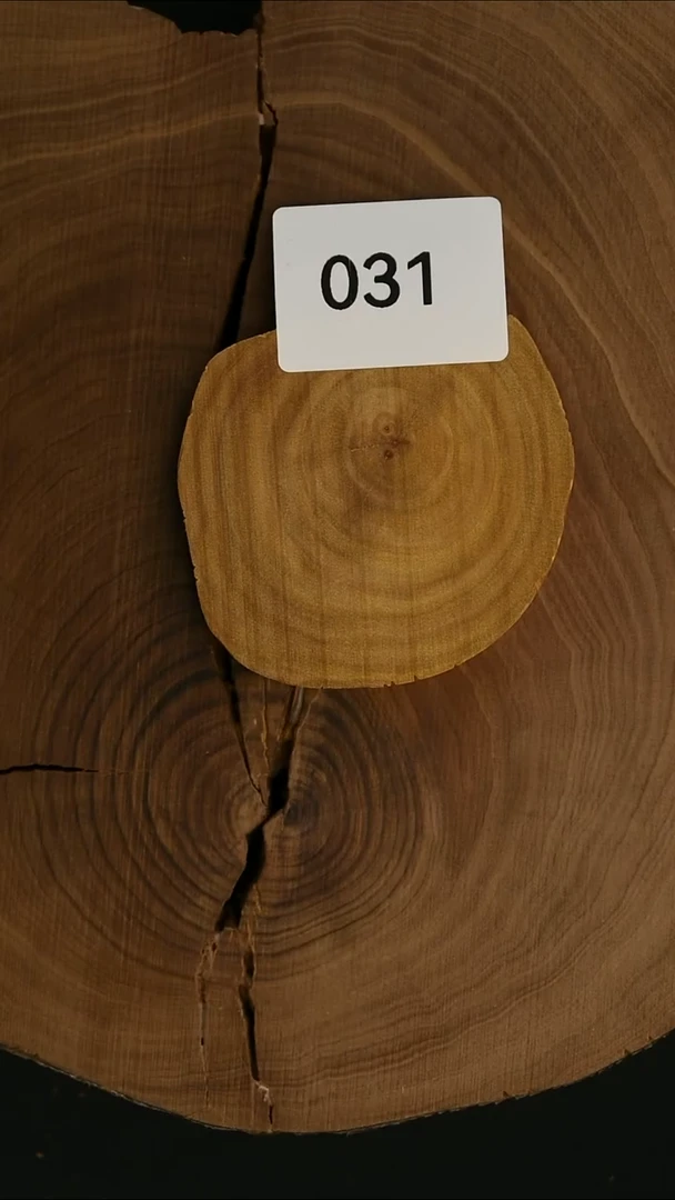 檀香木其他原材料 迈索尔官仓料 切片 28克-2-031