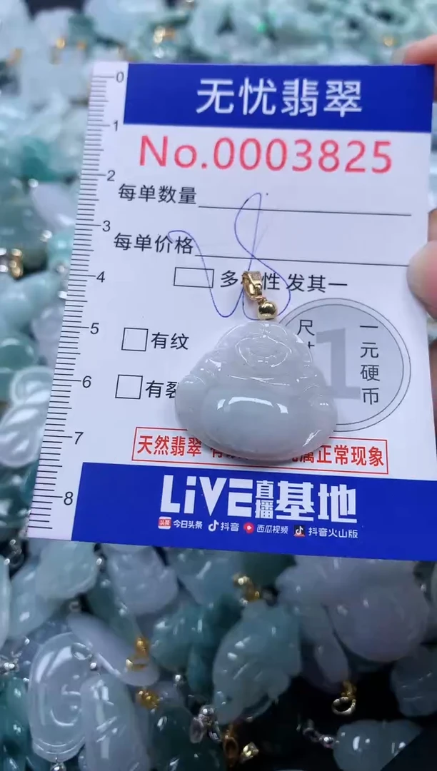 颈饰未镶嵌翡翠3825