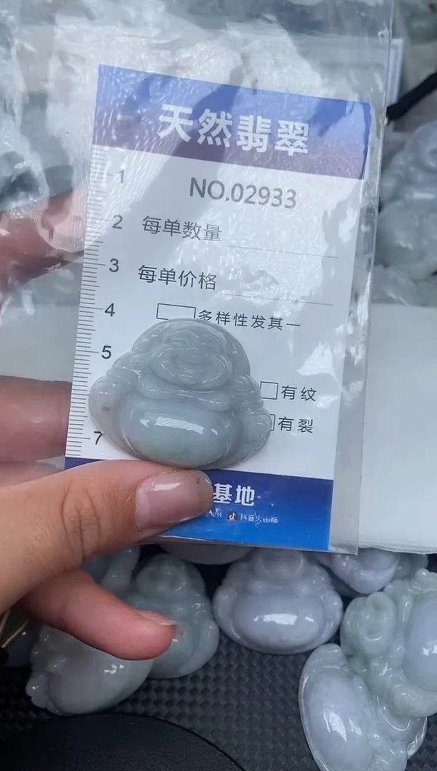 颈饰未镶嵌翡翠纯天然A货翡翠2933