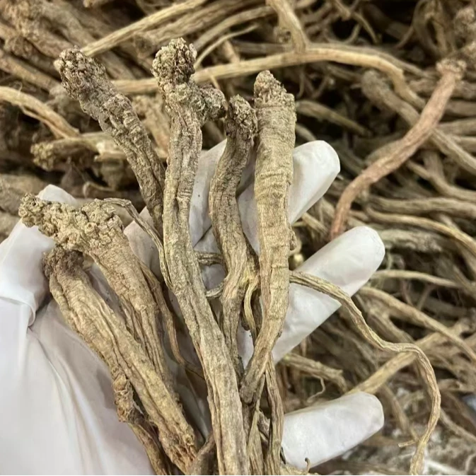 伊桦食养精选 无硫 野孩子 党参 100g/包
