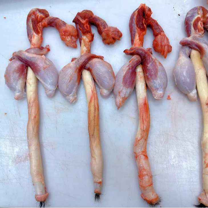 【鹿宝】直播间为准改价新鲜鹿宝鹿肉生鹿肉自家源头屠宰场直供鹿乡