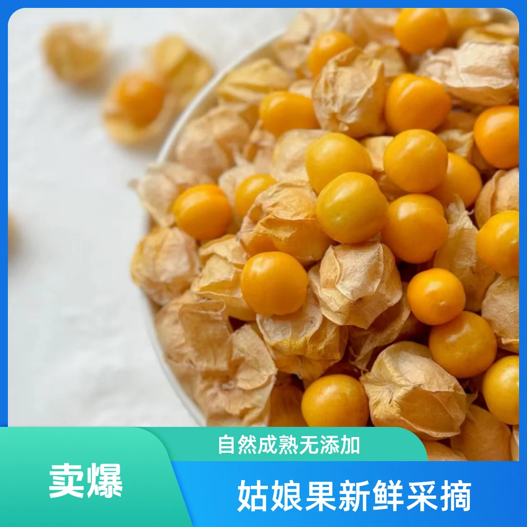 【菇娘果】250g香甜可口皮薄肉厚带奶香灯笼果果形饱满新鲜