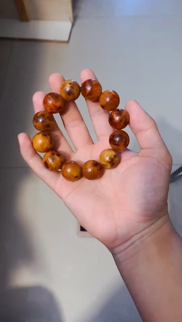 【闪购商品】柏木69崖柏崖柏崖柏崖柏崖柏