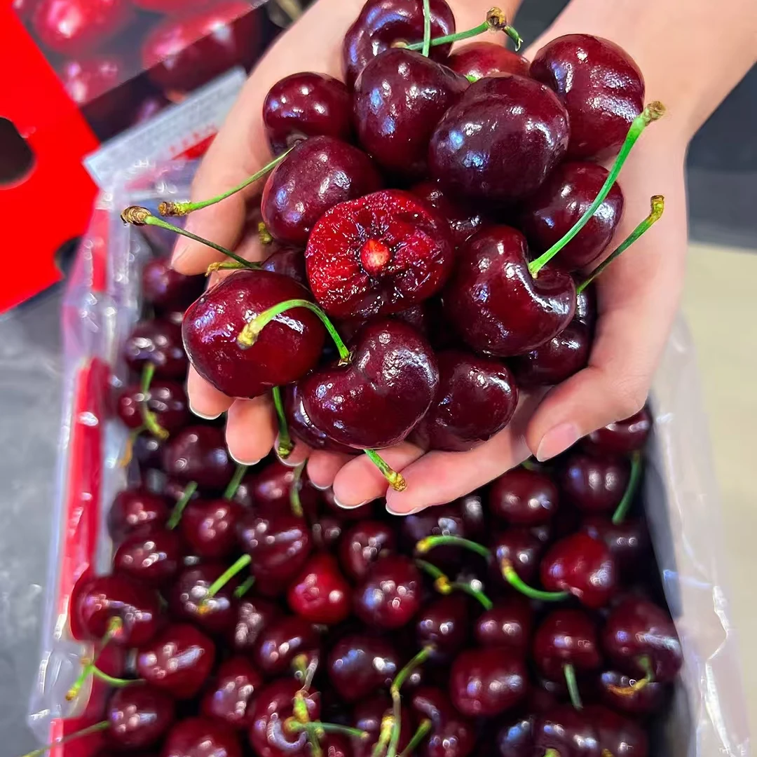 【拉萨小时达】新鲜智利进口车厘子 3J 1-3斤（果径26-28mm）桑提娜海运桑提娜智利