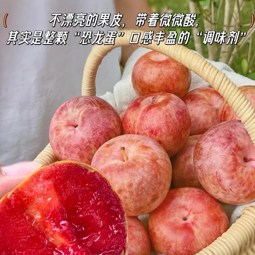 《顺丰包邮》九鼎直发新疆恐龙蛋李子应季水果新疆维吾尔自治区