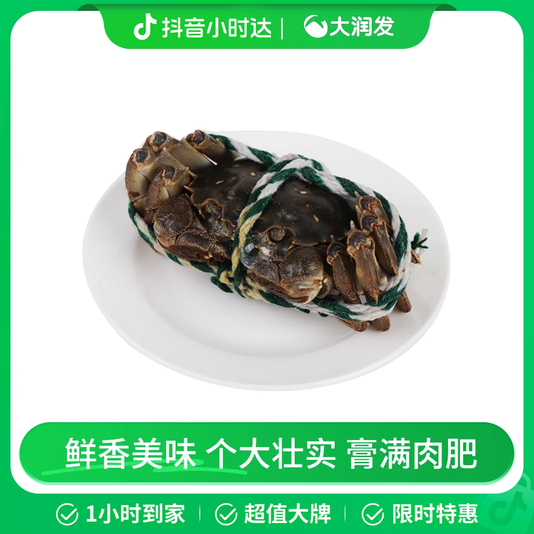 兴化大闸蟹母 约1.5-2.1两/只