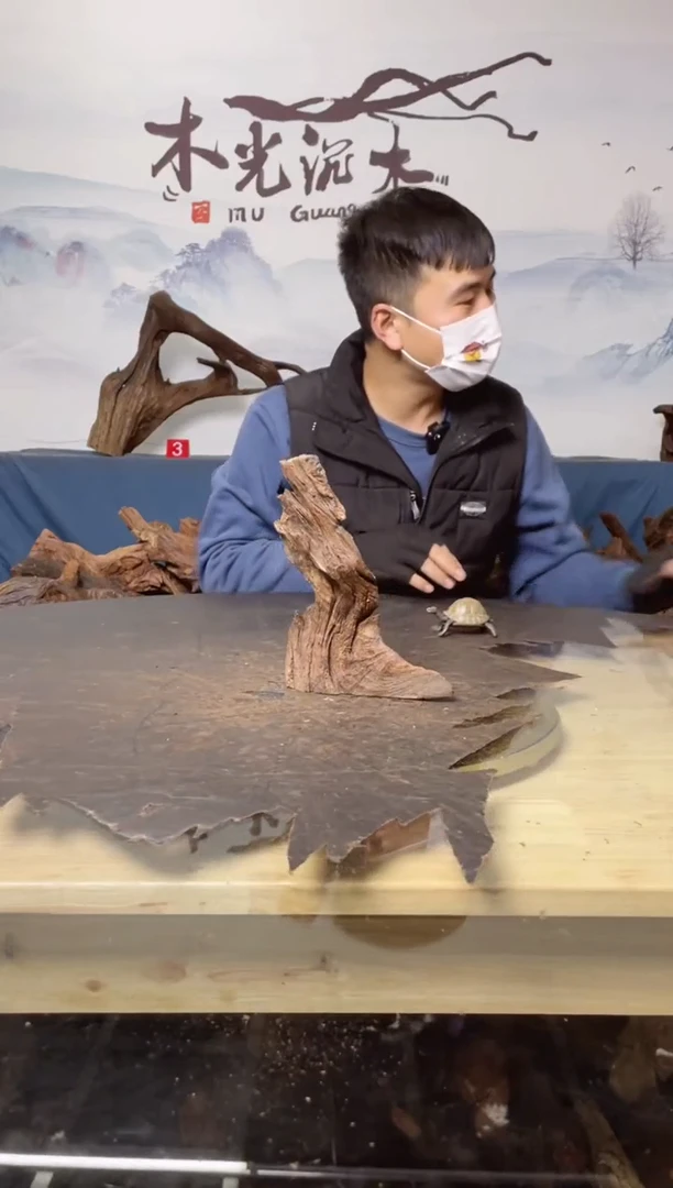 【闪购商品】A890木光沉木木光沉木