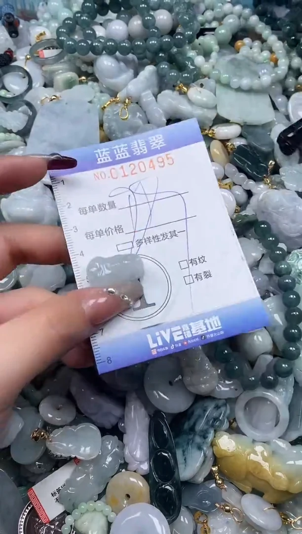 【闪购商品】翡翠颈饰未镶嵌闪购0120495