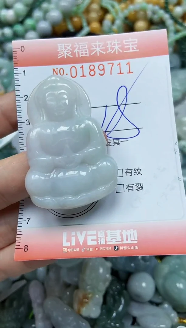 翡翠未镶嵌颈饰闪购0189711