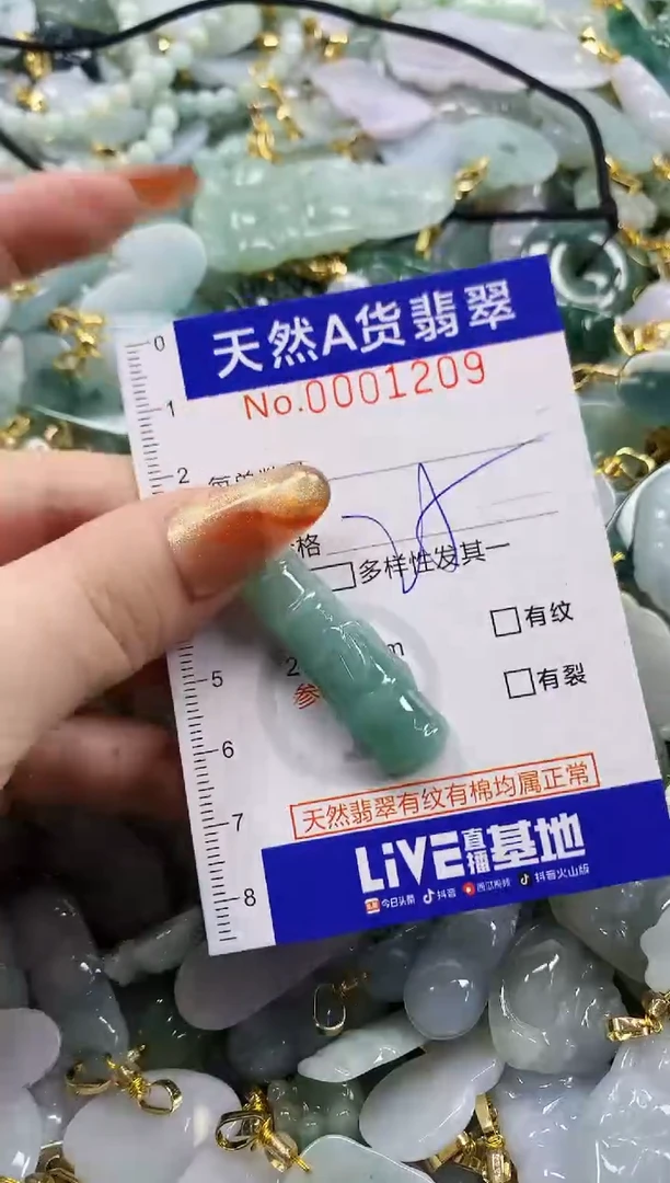 颈饰未镶嵌翡翠天然A货翡翠